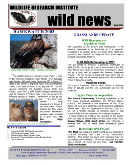 Wild News - Wildlife Research Institute