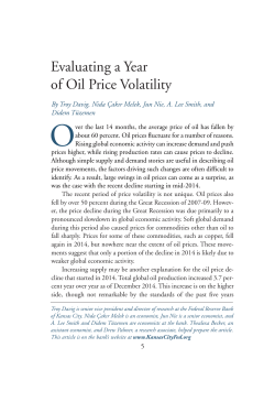 Evaluating a Year of Oil Price Volatility