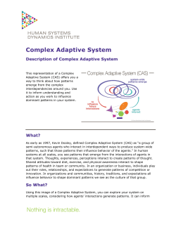 Complex Adaptive System - Human Systems Dynamics Institute
