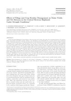 Effects of Tillage and Crop Residue Management on Maize Yields