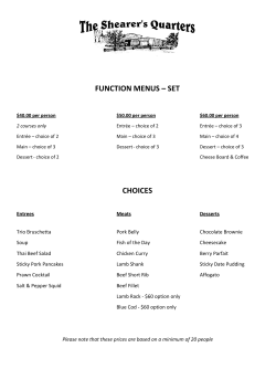 FUNCTION MENUS &ndash; SET CHOICES