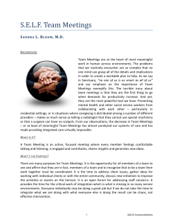 S.E.L.F. Team Meetings