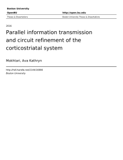 Parallel information transmission and circuit refinement of the