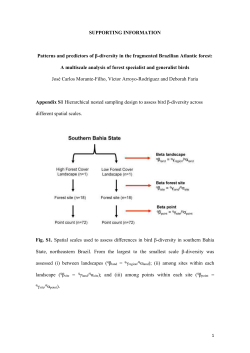 SUPPORTING INFORMATION Patterns and predictors of &beta;