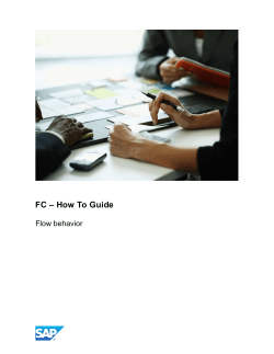 Financial Consolidation - Flow Behavior