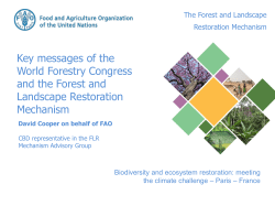 The Forest and Landscape Restoration