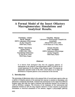 A Formal Model of the Insect Olfactory Macroglomerulus