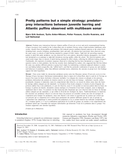 Pretty patterns but a simple strategy: predator&ndash; prey interactions