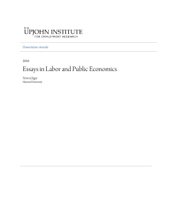 Essays in Labor and Public Economics