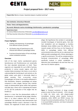 Marine viruses: important players in global