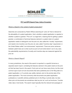 PCT and EPO Search Fees - Schlee IP International, PC