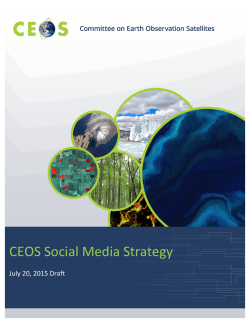 CEOS Social Media Strategy