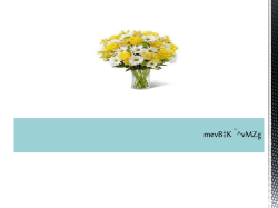 eыc`xi Av`k&copy; i*c