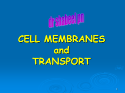 AS Biology FOUNDATION Chapter 4 CELL MEMBRANES and