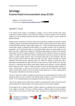 Indirect ELISA