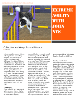 Newsletter - Power Paws Agility