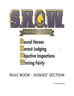 RULE BOOK - JUDGES` SECTION