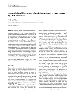 Accumulation of flavonoids and related compounds in birch indu