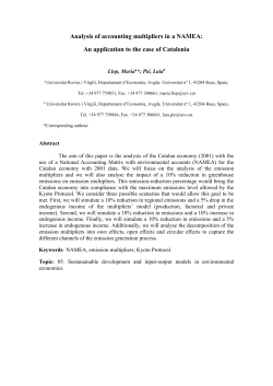 Analysis of linear multipliers in a NAMEA: