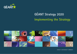 G&Eacute;ANT Strategy 2020 Implementing the Strategy