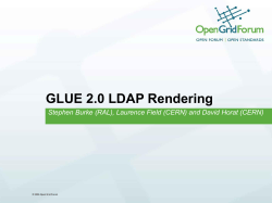 GLUE 2.0 LDAP Rendering Stephen Burke (RAL