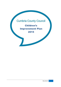 Looked after children and care leavers