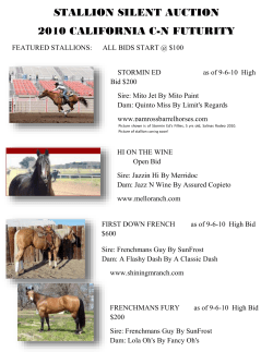 STALLION SILENT AUCTION 2010 CALIFORNIA C
