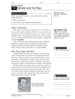 untitled - American Academy