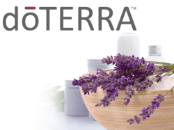 Slide 1 - Jaana Rogers