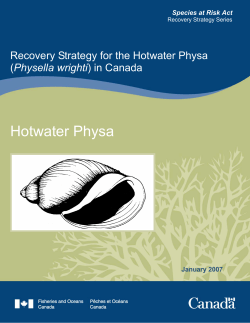 Recovery Strategy for Hotwater Physa (Physella wrighti) in Canada
