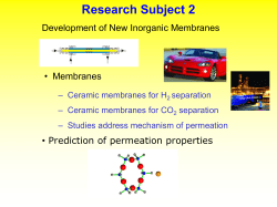 Studies of Membrane Reactors