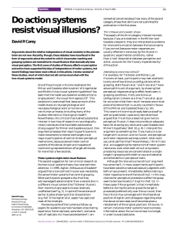 Do action systems resist visual illusions?