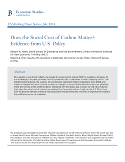 Does the Social Cost of Carbon Matter?