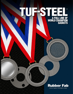 a full line of world champion gaskets