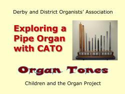 Organ Tones - Insight Resources