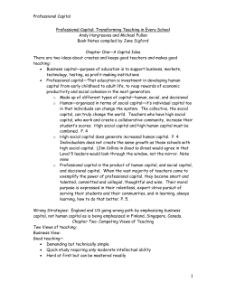 Professional Capital