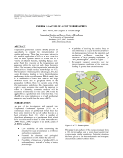 Exergy Analysis of a CO2 Thermosiphon