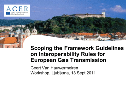 110909 Presentation ACER workshop scope Interoperability