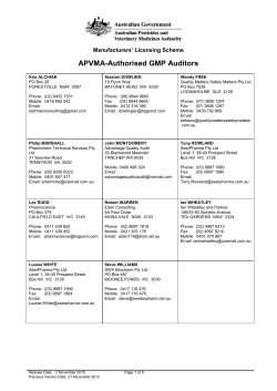 auditor profiles and experience