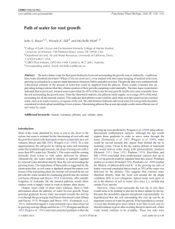 Path of water for root growth