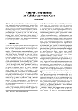 Natural Computation: the Cellular Automata Case