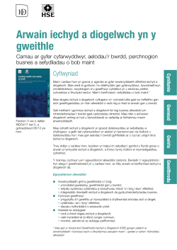 Arwain iechyd a diogelwch yn y gweithle (INDG417)