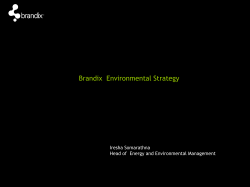 Climate Change Strategy for Brandix Lanka