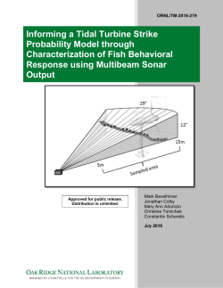 Informing a Tidal Turbine Strike Probability Model through