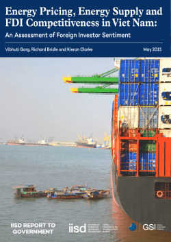 Energy Pricing, Energy Supply and FDI Competitiveness in Viet Nam: