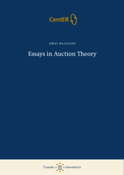 Essays in auction Theory CentER&ccedil;