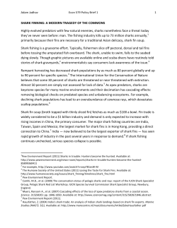 SHARK FINNING: A MODERN TRAGEDY OF THE COMMONS