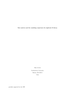 Tate motives and the vanishing conjectures for algebraic K