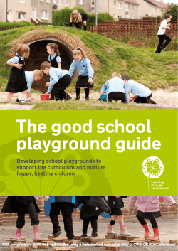 The good school playground guide