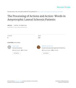 The Processing of Actions and Action